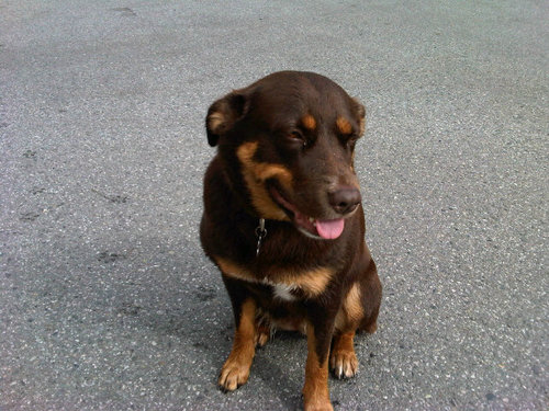 nrclyne's profile picture. 