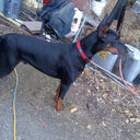 Albert Stahl - @AlmanStahl - Twitter