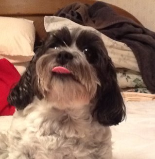 Traybay11's profile picture. Just trying to live the best life as possible each and every day. Teacher, beach lover...