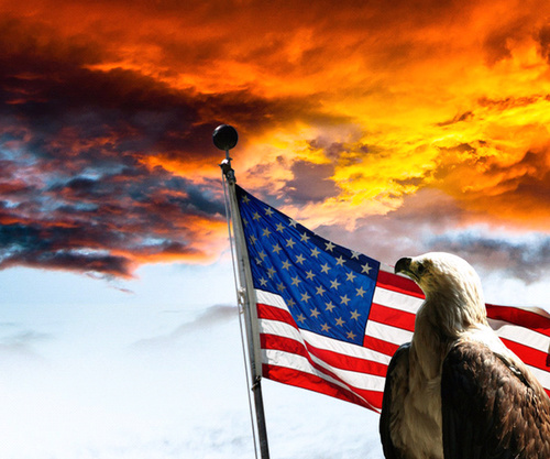 Firefighter, Father, and Patriot. Hoops Coach!! GO RAVENS, GO ORIOLES, NASCAR. GOD BLESS USA.