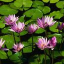 آبوخالد (@0540404095) Twitter