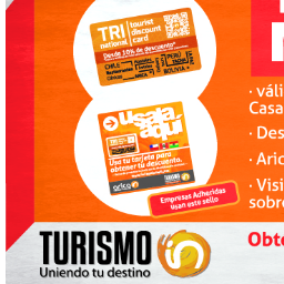 AricaIn's profile picture. 