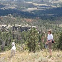 Maggie Farrell (@farrellmaggie) 's Twitter Profile