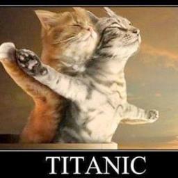 ConejitosLove's profile picture. soy amable,lista,soy de piel morena,ojos cafes oscuros y me gustan los detalles romanticos.