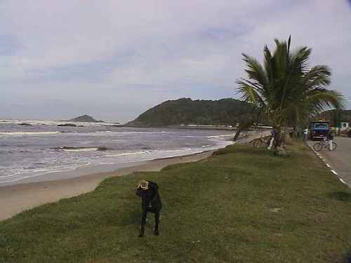 Itanhaem2's profile picture. 