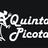 QuintaPicotaCt's profile image