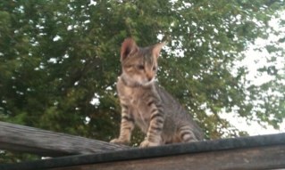 judyo2355's profile picture. 