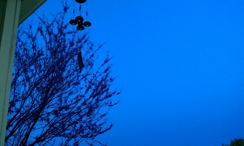 XSpeechX's profile picture. 