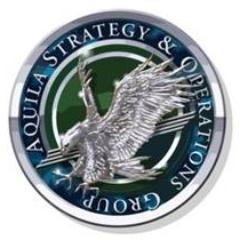 Senior Partner and Co-Owner at Aquila Strategy & Operations Group. Retired Brigadier General.  Aquila - a Veteran Owned Small Business...we change the outcome!