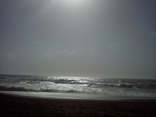 1125marcy's profile picture. 