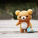 RoOdi (@0123_ro) Twitter