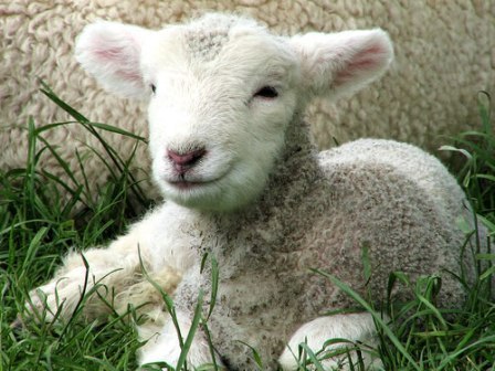 EEdinha28's profile picture. 