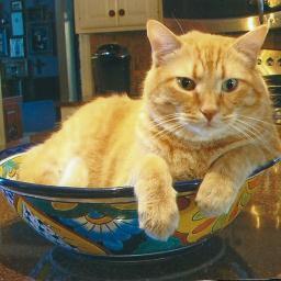 KrisMattson2's profile picture. 