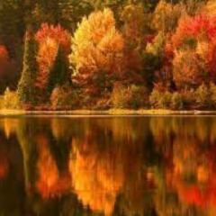 lisap815's profile picture. 