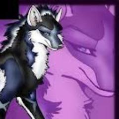 *is 5 years old in dog years, female, loves all music, #single, easy to get along with, smart, loves JTHM, wont's a BF, has a daughter named Amy*