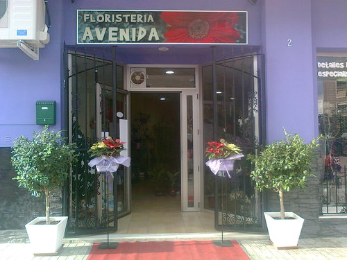 selda22857624's profile picture. FLORISTERIA AVENIDA,EN ALCUDIA DE CRESPINS.Todo en bodas,tocados,ramos,funerarios,etc.Plantas,regalo decoracion,tambien gran variedad  flor artificial.659334404