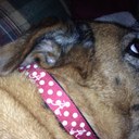 Mary Ann Dyck - @AnnDyck - Twitter