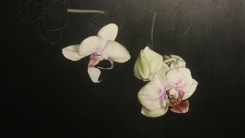 Freelance artist (commissions welcome), photographer, amateur actress and singer, proud Mum!