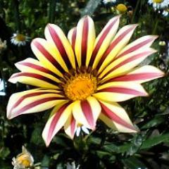 生かせて戴いてるから、私は存在している。有り難や。
