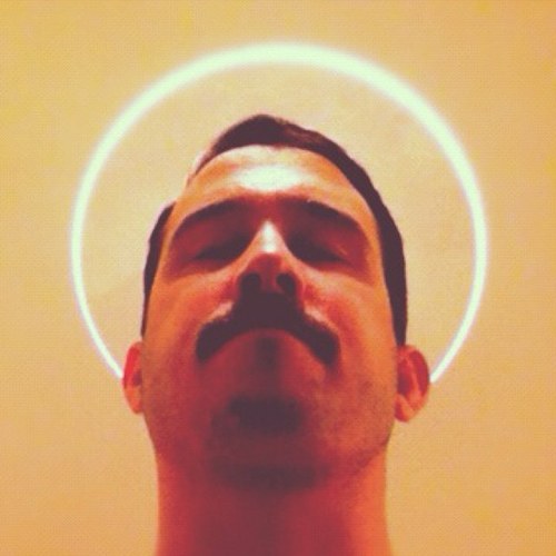 shmstevenson's profile picture. I saw a dog and kangaroo fight once