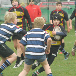 U13s Rugby Union team in Hull. East England Rugby Festival Champions. New players welcome, especially forwards. Coached by Chris Bloomfield.