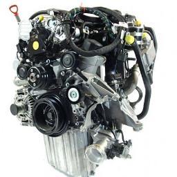 Wij leveren nieuwe en gebruikte auto-motoren en versnellingsbakken.
Ook voor een stuurhuis of stuurpomp zijn wij uw beste deal!