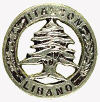 Generale di Corpo d'Armata, Comandante del Contingente militare italiano della Forza Multinazionale di Pace in Libano (1982 - 1984)