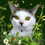 judithrosiere's profile picture. 