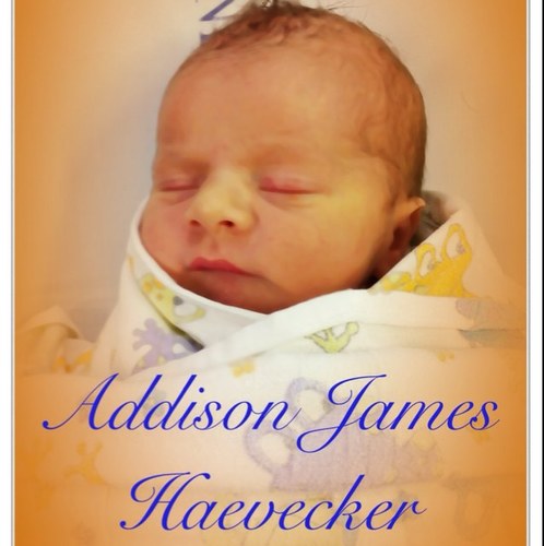 Haevecker's profile picture. 