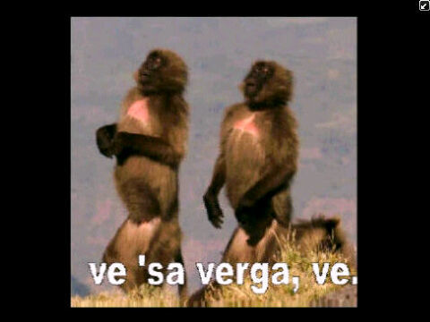 El yuo.