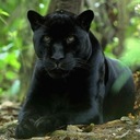 David Oliveira - @david_dorcas - Twitter