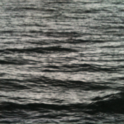 T_E_Greig's profile picture. 