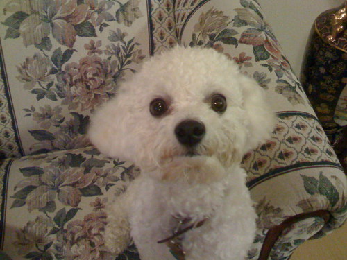 salocin714's profile picture. 