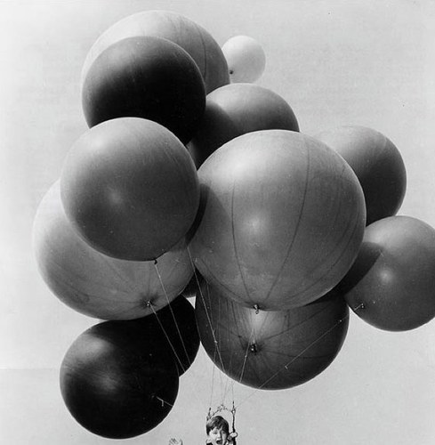 fernandomoteran's profile picture. 