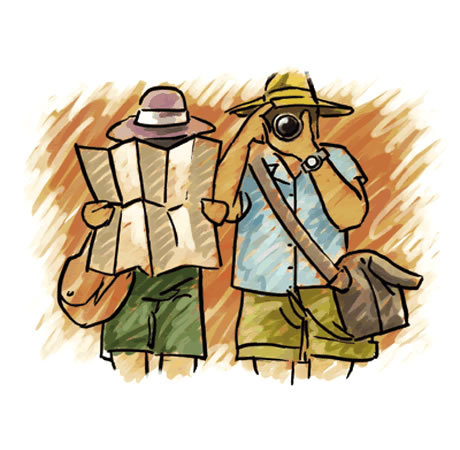 Real  Reviews from Real Travellers