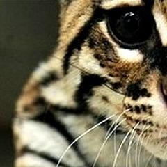 Je sélectionne et #RT les meilleurs tweets. Follow @PleinDeBetise . Si je te follow, follow back ou j'unfollow.