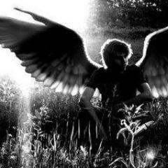 michaelpurba6's profile picture. 