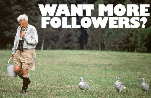 FollowAndCo Profile Picture