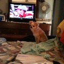 Lois Bentley - @BranjazzLois - Twitter