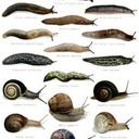 Ruth Helm - @ruthiehelm - Twitter