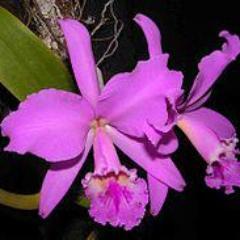 mariabonita91's profile picture. Maestra jubilada actualmente del hogar