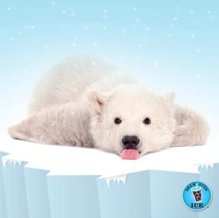 _silver_lining's profile picture. What you do speaks so loudly I cannot hear what you say -RWE