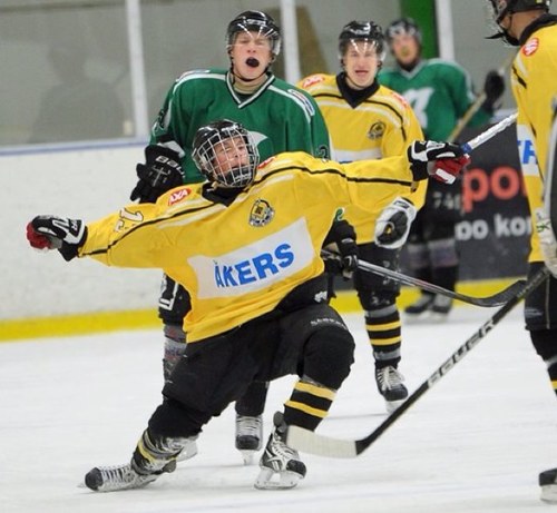 Hockeyplayer #13