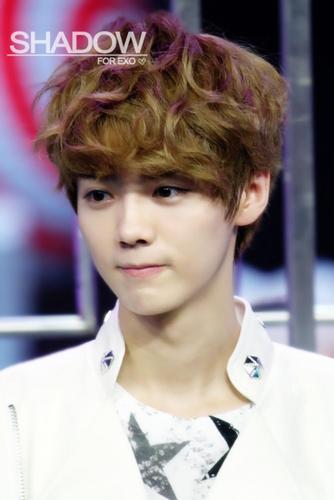 NOT REAL, JUST A ROLEPLAYER OF EXO-M'S XI LUHAN.