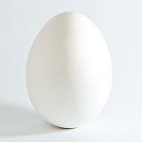 Matt W (@autoomattic) 's Twitter Profile