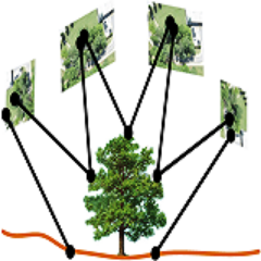 Ecosynth: User-deployed 3D scanning systems for ecology.  Mapping and measuring  vegetation biomass, carbon and biodiversity across landscapes.