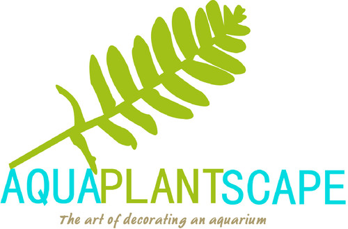 The Art Of Decorating An Aquarium
YM : aquaplantscape@ymail.com
#SRUDUKFOLLOW