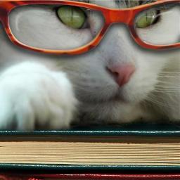 Lol_Cat's profile picture. The mysterious mind of a cat...