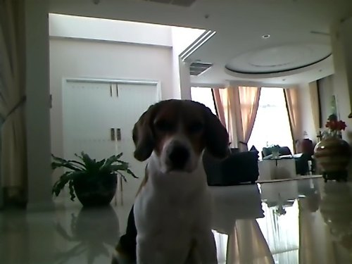 my name is michelle :)