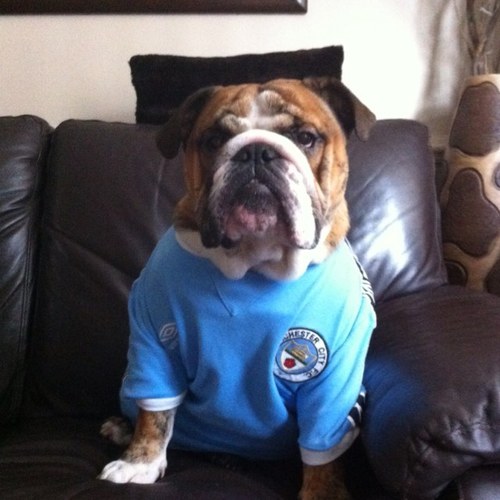 BaineMan's profile picture. 